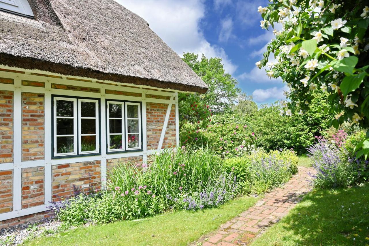 Landhaus Vilmnitz - Wohnung 8 Eksteriør billede