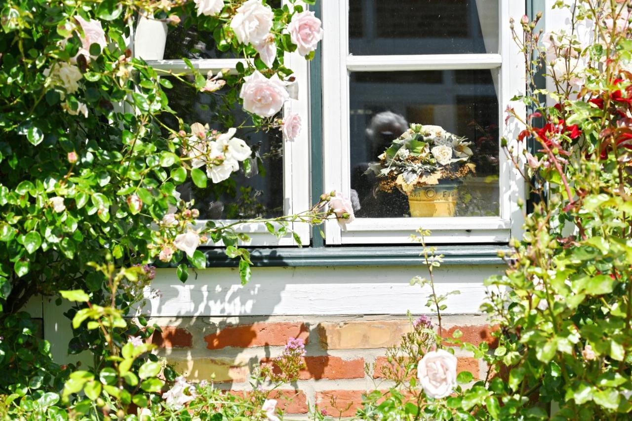 Landhaus Vilmnitz - Wohnung 8 Eksteriør billede